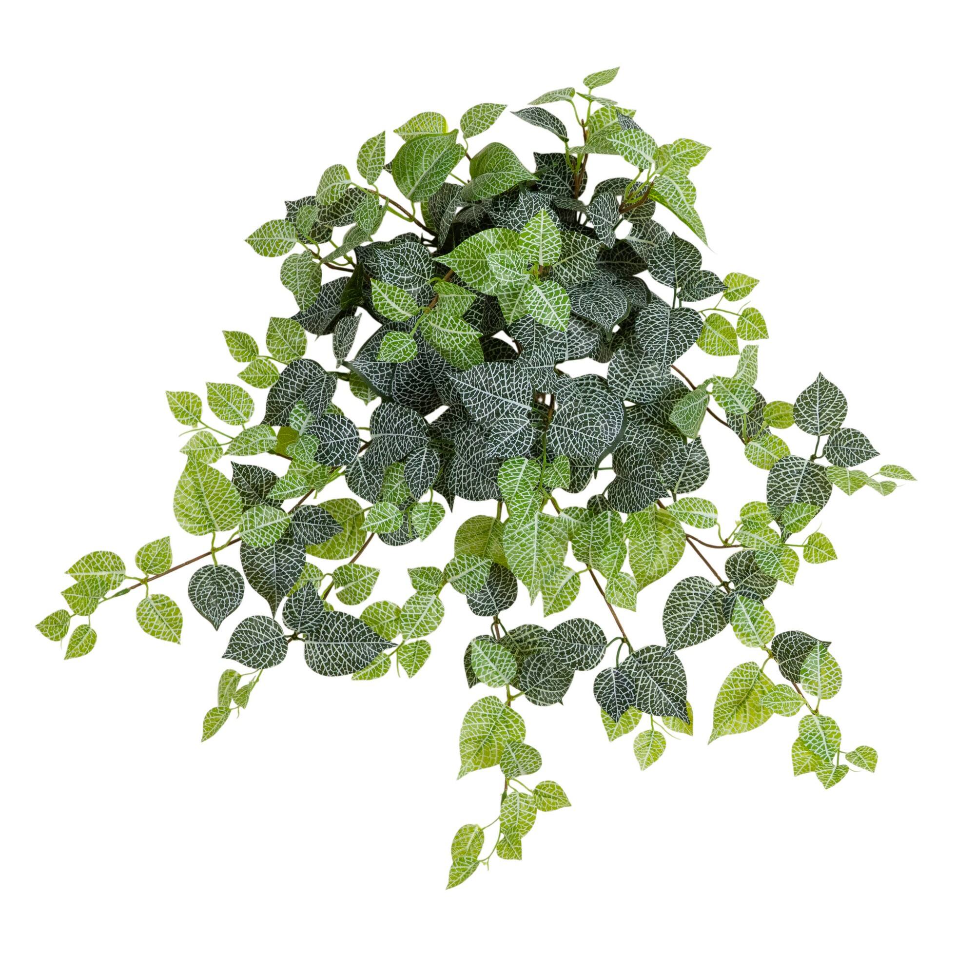 24" UV Resistant Artificial Fittonia Hanging Plant (Indoor/Outdoor) - Set of 3